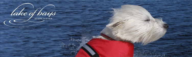 Go to the LOBA homepage
