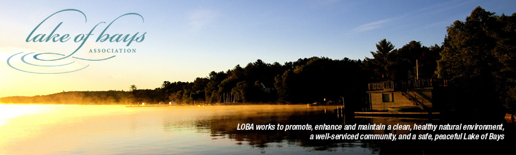 Go to the LOBA homepage